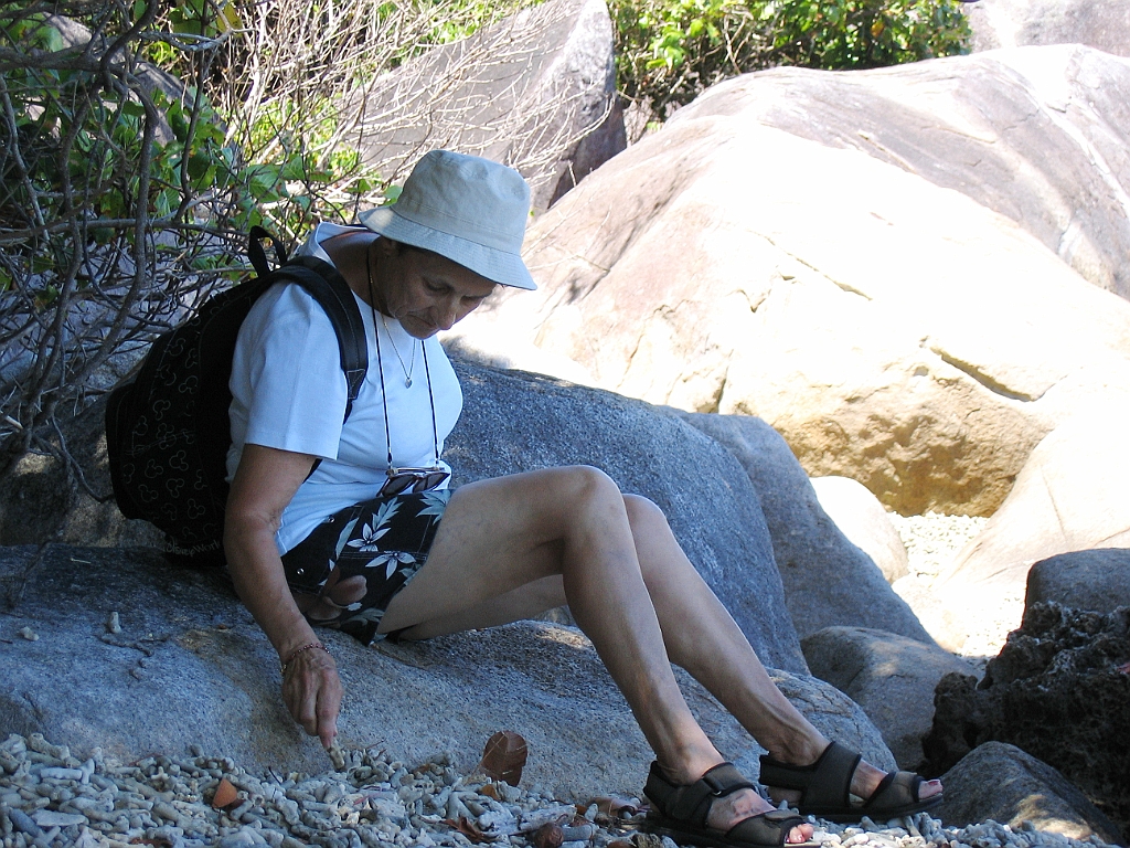 CairnsTC425 Fitzroy Island.jpg